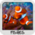 Fish Wallpapers icon