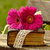 Flower Wallpaper HD Backgrounds app for free