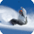 Extreme Sports Free app for free