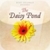 Deep Relaxation - Relax & Sleep Better with The Daisy Pond icon