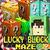 Lucky Block Maze  Survival modern icon