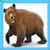 Kids Bear icon