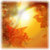 Autumn HD Wallpaper icon