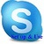 Skype Install and use icon