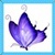 Kids Butterfly icon
