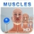 Pocket Body - Musculoskeletal - by Pocket Anatomy icon