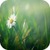 Grass 3D Live Wallpapers icon