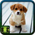 Cute Dog Pictures icon