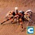 Ultimate Spider Simulator app for free