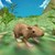 Mouse Survival Simulator app for free