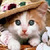Angela Funny Cat Camera icon