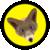 FoxyTag icon