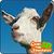 Goat Simulator 3D icon
