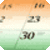 Indian Calendar 2010 icon