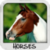 Horses Wallpapers by Nisavac Wallpapers icon