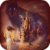 The Beauty and the Beast Live Wallpaper icon