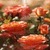 Orange Rose Butterfly LWP icon