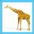 Kids Giraffe icon