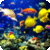 Magical Underwater Wallpapers icon
