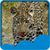 New Leopard Live Wallpapers icon