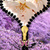 Sakura Zipper Lock Screen icon