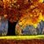 HD Autumn Wallpapers icon