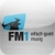 Radio FM1 icon