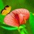 Butterfly In Rain Live Wallpaper icon