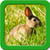 Bunny Live Wallpapers icon