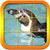 Picture Puzzle Penguins icon