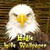 Eagle live wallpapers icon