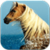 Horse Wallpapers app icon