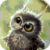Funny Little Owl Live Wallpaper icon