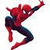 Spider_Man Ninja icon