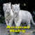 Animal Baby  icon