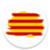 SPANISH TO CATALAN MEGA Translator   app for free