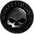 Harley-Davidson Skull Battery Widget icon