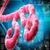 Ebola-Dos and Donts app for free