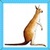 Kids Kangaroo icon