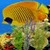 Under Water Nature Live Wallpaper icon