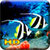 Fish Live HD Wallpaper icon