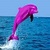 My Cute Dolphin Show icon
