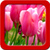Best Tulips Live Wallpapers icon