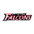 Atlanta Falcons Fan icon