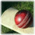 Cricket Wallpaper icon