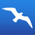 Spy Seagull icon