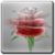 Rose Live HD Wallpaper icon