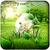 Forest GO Launcher icon