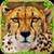 Furious Cheetah Simulator  icon