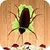 Beetle Smasher icon